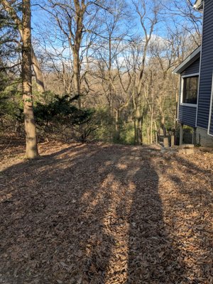 Brush removal and cleanup - This is a customer's home that needed a full yard cleanup and brush removal. We were able to quote him the same day of our meeting and started the cleanup process within a weeks time. If you are looking for any landscape, brush removal, or irrigation services, please contact us for a quote. Brush removal and cleanup - This is a customer's home that needed a full yard cleanup and brush removal. We were able to quote him the same day of our meeting and started the cleanup process within a weeks time. If you are looking for any landscape, brush removal, or irrigation services, please contact us for a quote.