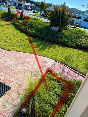 Trenchless replacement - This is a clients sewer line replacement process