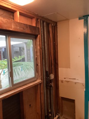 Mold Remediation - Our client found out that there's mold in the ceiling throughout the cabinet and walls.