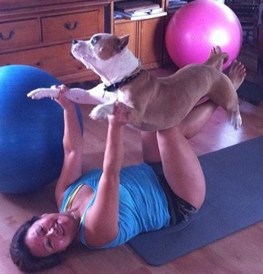 Cocojor’s DOGA (Dog Yoga) classes - As you and your dog practice doga together, you’re both likely to gain more than simply a few minutes of quality time together. We work together as a group with other doga lovers. The word ‘yoga’ means union and dogs are pack animals, so they are all about union,” Union in yoga means discovering a feeling of connection to all living things. In doga, we move toward that union by first feeling that open-hearted connection to our dogs, then opening up to a broader connection. Requirements: 10 weeks of age or older; friendly to people and other dogs; proof of Rabies vaccine, DHPP, and Bordetella. Cocojor’s DOGA (Dog Yoga) classes - As you and your dog practice doga together, you’re both likely to gain more than simply a few minutes of quality time together. We work together as a group with other doga lovers. The word ‘yoga’ means union and dogs are pack animals, so they are all about union,” Union in yoga means discovering a feeling of connection to all living things. In doga, we move toward that union by first feeling that open-hearted connection to our dogs, then opening up to a broader connection. Requirements: 10 weeks of age or older; friendly to people and other dogs; proof of Rabies vaccine, DHPP, and Bordetella.