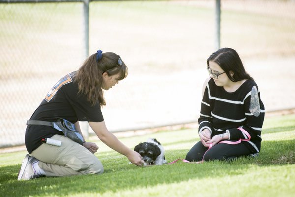 Private Lessons at the Park - Private dog training lessons at Canyon Hills Community Park offer a tailored approach to addressing specific needs and goals for both dogs and their owners. These one-on-one sessions provide a focused, personalized training experience in a versatile and engaging outdoor environment.
### Overview of Private Lessons
1. Customization and Focus:
Private lessons are designed to cater to the unique needs of each dog and owner. Unlike group classes, which follow a set curriculum, private sessions allow the trainer to create a customized training plan based on the dog's specific behavior issues, learning pace, and the owner's training goals. This personalized approach ensures that every session is relevant and effective for the individual dog's needs.
2. Location Benefits:
Held at Canyon Hills Community Park, these private lessons take advantage of a spacious and natural setting. The park environment provides varied stimuli, which helps in training dogs to handle distractions and reinforces commands in real-world scenarios. The open space allows for a range of exercises, from basic obedience to advanced commands, and helps dogs adapt to different training contexts.
3. Training Goals and Techniques:
- Behavioral Issues: Private lessons can address a wide range of behavioral problems. The trainer works with the dog to understand the root causes of these issues and develops effective strategies for modification.
- Basic Obedience: Training includes essential commands such as sit, stay, come, heel, and leave it. The trainer provides clear, step-by-step instructions and demonstrations, ensuring that the dog learns and responds to commands reliably.
- Advanced Skills: For dogs that have mastered basic commands, private lessons can focus on advanced skills such as specialized tricks. The trainer designs exercises that challenge the dog and build on existing skills.
4. Personalized Attention:
The one-on-one nature of private lessons allows for detailed attention to the dog's progress and specific needs. The trainer can adjust techniques in real-time, provide immediate feedback, and offer tailored solutions to any challenges that arise. This personalized attention ensures that both the dog and owner receive the support necessary to achieve their training goals.
5. Trainer Expertise:
Private lessons are conducted by experienced trainers who have a deep understanding of canine behavior and training methods. Trainers use positive reinforcement techniques, rewarding desirable behaviors with treats, praise, or toys, and employ gentle, effective methods to address unwanted behaviors. Their expertise allows them to quickly identify and address issues, adapting their approach to the dog's learning style.
6. Flexibility and Convenience:
Private lessons offer flexibility in scheduling, allowing owners to arrange sessions at times that best fit their schedule. This flexibility makes it easier to maintain consistent training, which is crucial for effective behavior modification and skill development. Additionally, the park's varied environments provide a dynamic backdrop for training, ensuring that sessions remain engaging and effective.
7. Preparation and Equipment:
Owners should come prepared with necessary equipment such as a leash, collar or harness, and treats. Ensuring that the dog is up-to-date on vaccinations is essential for safety, particularly in a public park setting.
8. Progress Evaluation:
During private lessons, the trainer regularly assesses the dog's progress and adjusts the training plan as needed. Owners receive detailed feedback and practical advice on how to continue reinforcing skills at home. Progress evaluations help track improvements, address any ongoing challenges, and celebrate milestones achieved during training.
9. Owner Involvement:
An essential aspect of private lessons is owner involvement. Trainers work closely with owners to ensure they understand the techniques and can effectively apply them. This includes teaching owners how to communicate commands clearly, manage behavior issues, and maintain consistency in training.
Private dog training lessons at Canyon Hills Community Park offer a highly customized and effective training experience. The combination of personalized attention, a versatile outdoor setting, and expert guidance ensures that each dog receives the focused instruction needed to address specific issues and achieve training goals. Whether dealing with behavioral problems, learning basic commands, or advancing to more complex skills, private lessons provide the tools and support necessary for both dogs and their owners to succeed. The park's environment enhances the training experience, making it engaging and practical, while the flexible scheduling allows for consistent progress and achievement. Private Lessons at the Park - Private dog training lessons at Canyon Hills Community Park offer a tailored approach to addressing specific needs and goals for both dogs and their owners. These one-on-one sessions provide a focused, personalized training experience in a versatile and engaging outdoor environment.
### Overview of Private Lessons
1. Customization and Focus:
Private lessons are designed to cater to the unique needs of each dog and owner. Unlike group classes, which follow a set curriculum, private sessions allow the trainer to create a customized training plan based on the dog's specific behavior issues, learning pace, and the owner's training goals. This personalized approach ensures that every session is relevant and effective for the individual dog's needs.
2. Location Benefits:
Held at Canyon Hills Community Park, these private lessons take advantage of a spacious and natural setting. The park environment provides varied stimuli, which helps in training dogs to handle distractions and reinforces commands in real-world scenarios. The open space allows for a range of exercises, from basic obedience to advanced commands, and helps dogs adapt to different training contexts.
3. Training Goals and Techniques:
- Behavioral Issues: Private lessons can address a wide range of behavioral problems. The trainer works with the dog to understand the root causes of these issues and develops effective strategies for modification.
- Basic Obedience: Training includes essential commands such as sit, stay, come, heel, and leave it. The trainer provides clear, step-by-step instructions and demonstrations, ensuring that the dog learns and responds to commands reliably.
- Advanced Skills: For dogs that have mastered basic commands, private lessons can focus on advanced skills such as specialized tricks. The trainer designs exercises that challenge the dog and build on existing skills.
4. Personalized Attention:
The one-on-one nature of private lessons allows for detailed attention to the dog's progress and specific needs. The trainer can adjust techniques in real-time, provide immediate feedback, and offer tailored solutions to any challenges that arise. This personalized attention ensures that both the dog and owner receive the support necessary to achieve their training goals.
5. Trainer Expertise:
Private lessons are conducted by experienced trainers who have a deep understanding of canine behavior and training methods. Trainers use positive reinforcement techniques, rewarding desirable behaviors with treats, praise, or toys, and employ gentle, effective methods to address unwanted behaviors. Their expertise allows them to quickly identify and address issues, adapting their approach to the dog's learning style.
6. Flexibility and Convenience:
Private lessons offer flexibility in scheduling, allowing owners to arrange sessions at times that best fit their schedule. This flexibility makes it easier to maintain consistent training, which is crucial for effective behavior modification and skill development. Additionally, the park's varied environments provide a dynamic backdrop for training, ensuring that sessions remain engaging and effective.
7. Preparation and Equipment:
Owners should come prepared with necessary equipment such as a leash, collar or harness, and treats. Ensuring that the dog is up-to-date on vaccinations is essential for safety, particularly in a public park setting.
8. Progress Evaluation:
During private lessons, the trainer regularly assesses the dog's progress and adjusts the training plan as needed. Owners receive detailed feedback and practical advice on how to continue reinforcing skills at home. Progress evaluations help track improvements, address any ongoing challenges, and celebrate milestones achieved during training.
9. Owner Involvement:
An essential aspect of private lessons is owner involvement. Trainers work closely with owners to ensure they understand the techniques and can effectively apply them. This includes teaching owners how to communicate commands clearly, manage behavior issues, and maintain consistency in training.
Private dog training lessons at Canyon Hills Community Park offer a highly customized and effective training experience. The combination of personalized attention, a versatile outdoor setting, and expert guidance ensures that each dog receives the focused instruction needed to address specific issues and achieve training goals. Whether dealing with behavioral problems, learning basic commands, or advancing to more complex skills, private lessons provide the tools and support necessary for both dogs and their owners to succeed. The park's environment enhances the training experience, making it engaging and practical, while the flexible scheduling allows for consistent progress and achievement.