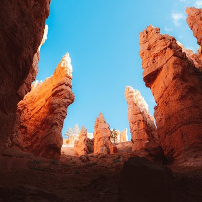 National Parks Nearby! - It's a gorgeous scenic drive to Zion National Park from Water Canyon Resort. Zion National Park is one of The Seven Wonders for obvious reasons and has some of the most infamous hikes in the world. Angels Landing, Observation Point, The Narrows, & The Subway to name a few. Zion National Park is currently open to the public. National Parks Nearby! - It's a gorgeous scenic drive to Zion National Park from Water Canyon Resort. Zion National Park is one of The Seven Wonders for obvious reasons and has some of the most infamous hikes in the world. Angels Landing, Observation Point, The Narrows, & The Subway to name a few. Zion National Park is currently open to the public.