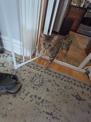 Clients - Pics of the animals I currently help Clients - Pics of the animals I currently help