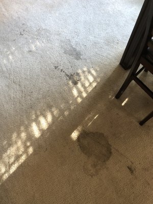 Carpet Cleaning - Before and After Carpet Cleaning - Before and After