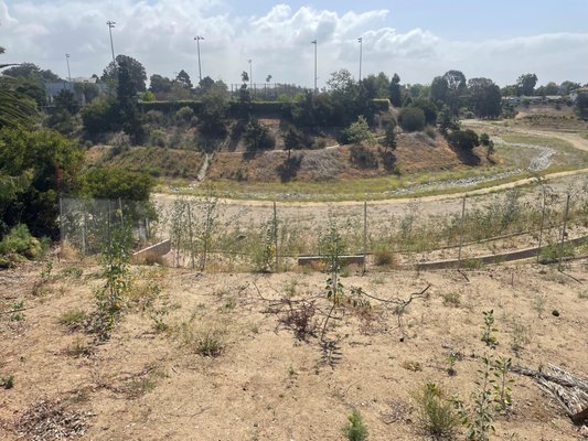 Pacific Palisades retaining wall - Pacific Palisades: Designed and constructed 36" tall retaining wall creating over 1,600 sq. ft. of usable flat space.