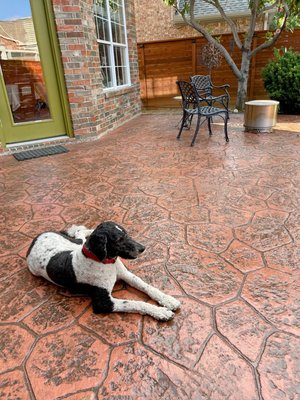 Patios/Outdoor Living - From cozy patios to expansive outdoor kitchens and everything in between, we excel in designing and constructing custom outdoor spaces tailored to your lifestyle. Whether you're dreaming of a tranquil garden retreat, a vibrant entertainment area, or a stylish dining oasis, our team has the expertise and creativity to make it a reality.