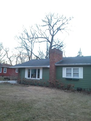 Tree Removal - Tree removed in close proximity to home.