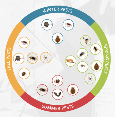 Stay Ahead of Seasonal Pests with Us - As seasons change, so do the pests that invade our homes and businesses. Don't wait for pests to become a problem – stay ahead with our specialized Seasonal Pest Control services. Our experienced technicians understand the unique challenges posed by seasonal pests and will tailor a proactive plan to keep them at bay. Whether it's springtime ants, summer mosquitoes, fall rodents, or winter spiders, we have the expertise and resources to protect your property year-round. Say goodbye to seasonal pest worries and hello to a pest-free environment. Trust us to safeguard your space, so you can enjoy each season without the nuisance of unwanted guests. Take control of your home or business with our reliable and effective seasonal pest control solutions. Stay Ahead of Seasonal Pests with Us - As seasons change, so do the pests that invade our homes and businesses. Don't wait for pests to become a problem – stay ahead with our specialized Seasonal Pest Control services. Our experienced technicians understand the unique challenges posed by seasonal pests and will tailor a proactive plan to keep them at bay. Whether it's springtime ants, summer mosquitoes, fall rodents, or winter spiders, we have the expertise and resources to protect your property year-round. Say goodbye to seasonal pest worries and hello to a pest-free environment. Trust us to safeguard your space, so you can enjoy each season without the nuisance of unwanted guests. Take control of your home or business with our reliable and effective seasonal pest control solutions.