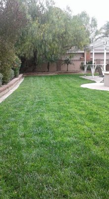 Text us today for your next project! - Full service landscaping and tree pruning and much more. Text us today for your free estimate Text us today for your next project! - Full service landscaping and tree pruning and much more. Text us today for your free estimate