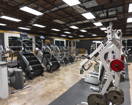 The Fitness Playground - All things Fitness One Roof! The Fitness Playground - All things Fitness One Roof!
