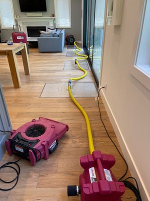Water Damage Restoration - Upon receiving a call from a customer whose home had experienced water damage due to a kitchen leak, our team promptly took action to restore the property.
We are pleased that our customer was satisfied with the results, evidenced by the positive feedback received. Water Damage Restoration - Upon receiving a call from a customer whose home had experienced water damage due to a kitchen leak, our team promptly took action to restore the property.
We are pleased that our customer was satisfied with the results, evidenced by the positive feedback received.