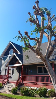 Shingle Roof Replacement - We are pleased to announce the successful completion of a shingle roof replacement for a beautiful home. The previous roof had become worn and damaged over time, prompting the homeowners to seek a solution that would enhance both aesthetics and protection.

Materials and Design:
For this project, we chose high-quality architectural shingles in a striking charcoal color. This choice not only provides a modern look but also ensures durability against harsh weather conditions.

Process:
Our team conducted a thorough inspection before carefully removing the old shingles and underlayment. We installed a new moisture barrier and improved ventilation to enhance the roof's longevity and performance. The installation process was completed in just one week, with attention to detail and safety throughout.

Results:
The new roof dramatically enhances the home’s curb appeal while offering reliable protection for years to come. The homeowners are thrilled with the transformation, appreciating both the aesthetics and the quality of the workmanship.

We are proud to have completed this project and look forward to helping more homeowners achieve their roofing goals!