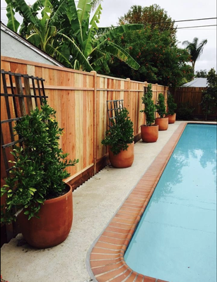 Wood Fencing - Wood Fencing. Wood Fencing - Wood Fencing.
