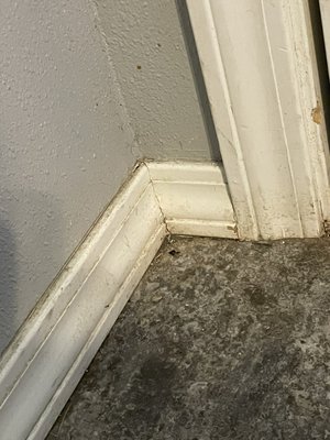 Baseboard cleaning - These are before and after photos of baseboard I have done for a customer… Baseboard cleaning - These are before and after photos of baseboard I have done for a customer…