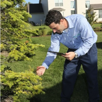 Healthy, Heartier Trees and Shrubs - Our team will survey your yard to become familiar with the ornamental plants on your property. Once we identify all your trees and shrubs, our trained and licensed field service professionals will apply one injected application in the spring and another in the fall. All injections are environmentally-sound and inserted into the soil.
The product will assist with fertilization to provide proper nutrients, introduce a root-enhancing organic material that’ll improve nutrient and water intake while reducing soil compaction and insert a systemic insect control that moves from the root system throughout the entire plant to control insect activity for the entire following season. Healthy, Heartier Trees and Shrubs - Our team will survey your yard to become familiar with the ornamental plants on your property. Once we identify all your trees and shrubs, our trained and licensed field service professionals will apply one injected application in the spring and another in the fall. All injections are environmentally-sound and inserted into the soil.
The product will assist with fertilization to provide proper nutrients, introduce a root-enhancing organic material that’ll improve nutrient and water intake while reducing soil compaction and insert a systemic insect control that moves from the root system throughout the entire plant to control insect activity for the entire following season.