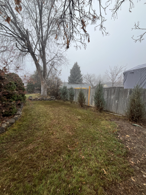 Leaf Cleanup - Quarter Acre Yard Cleanup. Customer was satisfied with the work, and decided to sign up for lawn maintenance for this spring / summer.
Leaf Cleanup Starting at $100 for first 2 man hours + $35 man hour Leaf Cleanup - Quarter Acre Yard Cleanup. Customer was satisfied with the work, and decided to sign up for lawn maintenance for this spring / summer.
Leaf Cleanup Starting at $100 for first 2 man hours + $35 man hour