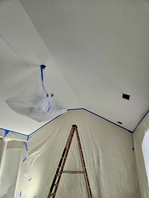 Popcorn removal - Boost your home’s value, a smooth ceiling instantly modernizes your space and attracts buyers.
Ready to transform your ceiling? Popcorn removal - Boost your home’s value, a smooth ceiling instantly modernizes your space and attracts buyers.
Ready to transform your ceiling?