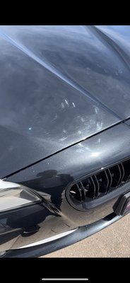 BMW Paint Correction - During the Paint Correction process, skilled technicians use a combination of cutting compounds, pelishes, and buffing techniques to gently and methodically eliminate the imperfections. They work in multiple stages, gradually refining the surface to reveal a smooth, flawless finish.First, the car's paint is thoroughly cleaned and prepared to ensure a pristine surface for correction. Then, using specialized equipment and professional-grade products, the technicians carefully assess and treat each affected area. They work diligently to level the paint surface, eliminating any visible defects and restoring a high level of clarity and gloss.The Paint Correction process requires precision and expertise to achieve optimal res important to note that Paint Correction is distinct from a simple car wash or waxing. those processes focus on surface cleanliness and protection, Paint Correction goes c revitalizing the paintwork and enhancing its overall appearance.After undergoing a professional Paint Correction, a car's paint will regain its original luster, depth, and smoothness. The corrected finish will have a reflective shine that enhances the vehicle's aesthetics, making it look as if it just rolled off the showroom floor. BMW Paint Correction - During the Paint Correction process, skilled technicians use a combination of cutting compounds, pelishes, and buffing techniques to gently and methodically eliminate the imperfections. They work in multiple stages, gradually refining the surface to reveal a smooth, flawless finish.First, the car's paint is thoroughly cleaned and prepared to ensure a pristine surface for correction. Then, using specialized equipment and professional-grade products, the technicians carefully assess and treat each affected area. They work diligently to level the paint surface, eliminating any visible defects and restoring a high level of clarity and gloss.The Paint Correction process requires precision and expertise to achieve optimal res important to note that Paint Correction is distinct from a simple car wash or waxing. those processes focus on surface cleanliness and protection, Paint Correction goes c revitalizing the paintwork and enhancing its overall appearance.After undergoing a professional Paint Correction, a car's paint will regain its original luster, depth, and smoothness. The corrected finish will have a reflective shine that enhances the vehicle's aesthetics, making it look as if it just rolled off the showroom floor.