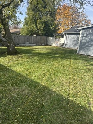 Standard clean up - This Standard clean up was done in the middle of fall, we took the initiative to make this house stand out compared to others. We provided landscape design, leaf removal, and blowing.