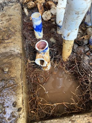 Irrigation Control Valve Repair Auburn - This customer called stating their irrigation control valve had broken off, so we promptly responded, made all necessary repairs, and gave this customer same day peace of mind with their water back on in no time. Irrigation Control Valve Repair Auburn - This customer called stating their irrigation control valve had broken off, so we promptly responded, made all necessary repairs, and gave this customer same day peace of mind with their water back on in no time.