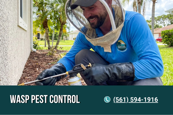 Wasp Control Control - Call us at (561) 594-1916 to get up to $300 off your initial pest control service!
Spend more time outside and less time worrying about stings. We safely remove wasp nests, identify the species, and treat problem areas using family- and pet-friendly products. Same-day appointments available. Save up to $300. Wasp Control Control - Call us at (561) 594-1916 to get up to $300 off your initial pest control service!
Spend more time outside and less time worrying about stings. We safely remove wasp nests, identify the species, and treat problem areas using family- and pet-friendly products. Same-day appointments available. Save up to $300.