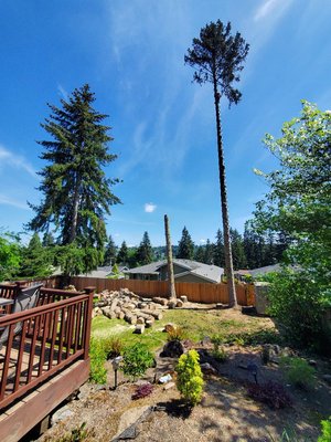 Tree Removal in Bellevue WA - One of the many works we've done.
Another satisfied costumer! Tree Removal in Bellevue WA - One of the many works we've done.
Another satisfied costumer!