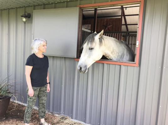 Horse Sitting - Breezy Acres Horse Farm offers horse sitting while you are out of town.
- Horses must be hauled to the property by owner.
- We do not care for stallions or mares with foals.