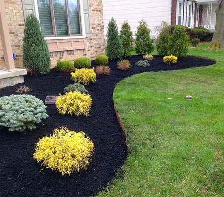 Proyecto 2024 - Planting 
adding mulch 
Retaining Wall