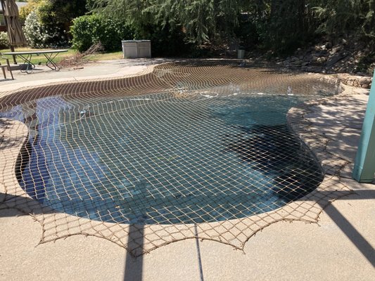 Beige Pool Safety Net - These grandparents wanted a safety solution for when the babies came to visit, but wanted it to blend into the park like setting as much as possible. The perfect solution Beige Pool Safety Net - These grandparents wanted a safety solution for when the babies came to visit, but wanted it to blend into the park like setting as much as possible. The perfect solution