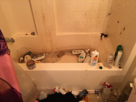 Bathroom Deep Cleaning - This was a deep cleaning project that definitely required some extra TLC. The homeowner, a busy professional, hadn't been able to give their bathroom the attention it deserved in years. Upon arrival, we were met with a scene of significant grime buildup. Excessive calcium deposits had formed on the showerhead and faucet, while mildew had taken hold in the corners of the shower stall and around the caulking.
Here's how we tackled the challenge:
Descaling the fixtures: We used a specialized descaling solution to remove the stubborn calcium buildup from the showerhead, faucet, and around the sink.
Mildew removal: Employing a powerful yet eco-friendly mildewcide, we meticulously treated the affected areas, ensuring complete eradication of the spores.
Deep cleaning all surfaces: Every surface in the bathroom, from the shower walls and floors to the vanity and toilet, received a thorough scrub down with disinfecting cleaners. We paid particular attention to neglected areas like the baseboards and behind the toilet, where dust and grime tend to accumulate.
Grout revival: Special grout cleaners and scrubbing techniques were used to restore the grout between the shower tiles to its original white color.
Polishing and shining: Finally, we polished the chrome fixtures and the mirror to a sparkling finish, leaving the entire bathroom gleaming.
The transformation was remarkable. Our customer was thrilled with the results, and their bathroom was finally a space they could enjoy again. Bathroom Deep Cleaning - This was a deep cleaning project that definitely required some extra TLC. The homeowner, a busy professional, hadn't been able to give their bathroom the attention it deserved in years. Upon arrival, we were met with a scene of significant grime buildup. Excessive calcium deposits had formed on the showerhead and faucet, while mildew had taken hold in the corners of the shower stall and around the caulking.
Here's how we tackled the challenge:
Descaling the fixtures: We used a specialized descaling solution to remove the stubborn calcium buildup from the showerhead, faucet, and around the sink.
Mildew removal: Employing a powerful yet eco-friendly mildewcide, we meticulously treated the affected areas, ensuring complete eradication of the spores.
Deep cleaning all surfaces: Every surface in the bathroom, from the shower walls and floors to the vanity and toilet, received a thorough scrub down with disinfecting cleaners. We paid particular attention to neglected areas like the baseboards and behind the toilet, where dust and grime tend to accumulate.
Grout revival: Special grout cleaners and scrubbing techniques were used to restore the grout between the shower tiles to its original white color.
Polishing and shining: Finally, we polished the chrome fixtures and the mirror to a sparkling finish, leaving the entire bathroom gleaming.
The transformation was remarkable. Our customer was thrilled with the results, and their bathroom was finally a space they could enjoy again.