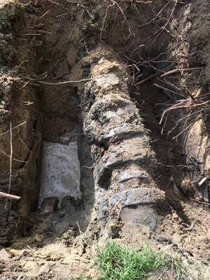 Field bed - Field bed was done due to a broken line from tree roots Field bed - Field bed was done due to a broken line from tree roots