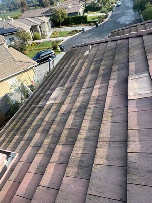 Roof cleaning - We offer roof deep cleaning needs. Message us and we give you our best offer. Roof cleaning - We offer roof deep cleaning needs. Message us and we give you our best offer.