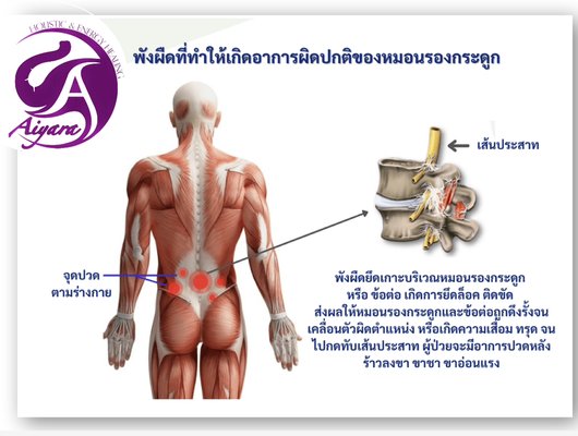 Therapeutic - When back pain occurs, most people tend to ignore it or may take painkillers to take by themselves because they think it's not a forbidden symptom. But do not know that sometimes it may come back just as a general recall, but there may be a risk of signaling in the event that it happens to the body. In which this article will come with what will happen after what can be massaged to cure it or not? Where can I be good? Here is the answer.
Call to Booking : 928-925-8734 Therapeutic - When back pain occurs, most people tend to ignore it or may take painkillers to take by themselves because they think it's not a forbidden symptom. But do not know that sometimes it may come back just as a general recall, but there may be a risk of signaling in the event that it happens to the body. In which this article will come with what will happen after what can be massaged to cure it or not? Where can I be good? Here is the answer.
Call to Booking : 928-925-8734