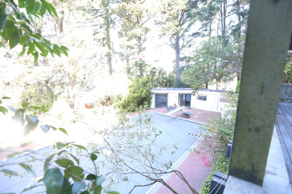 Landscape - Overgrown and wooded retreat, redesigned for a private Oasis Landscape - Overgrown and wooded retreat, redesigned for a private Oasis