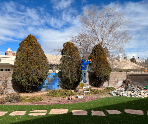 Backyard Tree Trimming - At Lannen's Lawn & Sprinkler, we understand the importance of maintaining the beauty and health of your trees. That's why we offer professional tree trimming services to our customers in Albuquerque. Our team of experts are highly trained and experienced in the art of tree trimming and pruning, ensuring that each and every tree we work on is left looking its best.
One of our most recent projects was in a backyard in Albuquerque where we were tasked with trimming and cleaning up a couple of juniper trees. The homeowners had noticed that their trees were overgrown and were causing some issues with their sprinkler system. They wanted to get their trimming requests in before the spring rush, and we were more than happy to help.
We began by carefully trimming the juniper trees, removing any dead or diseased branches and shaping the trees to enhance their natural beauty. We also thinned out the canopy to allow for better airflow and sunlight penetration, which is important for the overall health of the tree. Once we were finished trimming, we used a blower to clean up any debris, leaving the homeowner's backyard looking neat and tidy.
The difference before and after the trimming was remarkable. The trees were no longer overgrown and were now a beautiful and healthy addition to the backyard. The homeowner was thrilled with the results and was happy to have gotten their trimming request in before the spring rush.
At Lannen's Lawn & Sprinkler, we understand that each tree and property is unique, and we take the time to understand our customer's needs and provide them with the best possible solutions. From shaping to removal, we can handle all of your tree service needs. If you're in Albuquerque and have overgrown trees that need to be trimmed, don't hesitate to contact us. We'll make sure your trees are healthy and beautiful, just in time for spring. Backyard Tree Trimming - At Lannen's Lawn & Sprinkler, we understand the importance of maintaining the beauty and health of your trees. That's why we offer professional tree trimming services to our customers in Albuquerque. Our team of experts are highly trained and experienced in the art of tree trimming and pruning, ensuring that each and every tree we work on is left looking its best.
One of our most recent projects was in a backyard in Albuquerque where we were tasked with trimming and cleaning up a couple of juniper trees. The homeowners had noticed that their trees were overgrown and were causing some issues with their sprinkler system. They wanted to get their trimming requests in before the spring rush, and we were more than happy to help.
We began by carefully trimming the juniper trees, removing any dead or diseased branches and shaping the trees to enhance their natural beauty. We also thinned out the canopy to allow for better airflow and sunlight penetration, which is important for the overall health of the tree. Once we were finished trimming, we used a blower to clean up any debris, leaving the homeowner's backyard looking neat and tidy.
The difference before and after the trimming was remarkable. The trees were no longer overgrown and were now a beautiful and healthy addition to the backyard. The homeowner was thrilled with the results and was happy to have gotten their trimming request in before the spring rush.
At Lannen's Lawn & Sprinkler, we understand that each tree and property is unique, and we take the time to understand our customer's needs and provide them with the best possible solutions. From shaping to removal, we can handle all of your tree service needs. If you're in Albuquerque and have overgrown trees that need to be trimmed, don't hesitate to contact us. We'll make sure your trees are healthy and beautiful, just in time for spring.