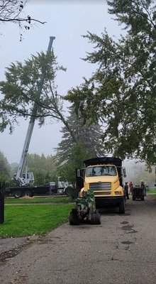 otto tree service - Here are some pictures of some of our past work