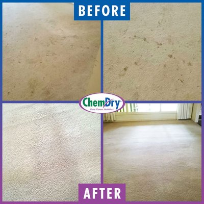 Chem-Dry - The Chem-Dry carpet cleaning process uses 80% less water than typical steam cleaning, so carpets dry within hours, not days. This means you and your family can get back to enjoying your home sooner. See a full comparison of Chem-Dry vs steam cleaning to see all of the benefits of choosing Chem-Dry carpet cleaners. Chem-Dry - The Chem-Dry carpet cleaning process uses 80% less water than typical steam cleaning, so carpets dry within hours, not days. This means you and your family can get back to enjoying your home sooner. See a full comparison of Chem-Dry vs steam cleaning to see all of the benefits of choosing Chem-Dry carpet cleaners.