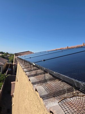 10 panels but alot of work - Are you tired of pigeons do you have solar.
why is it important to have bird netting to keep the pigeons away
thy love to stay underneath your panels and poop all over the roof.
this job here was a perfect example on why customers should always play it safe
and get bird netting. to keep pigeons away. take a look at the before and after 10 panels but alot of work - Are you tired of pigeons do you have solar.
why is it important to have bird netting to keep the pigeons away
thy love to stay underneath your panels and poop all over the roof.
this job here was a perfect example on why customers should always play it safe
and get bird netting. to keep pigeons away. take a look at the before and after