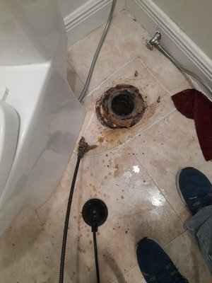 Drain Line Cleaning - this is a typical line clog. Drain Line Cleaning - this is a typical line clog.
