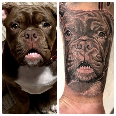 Pet portait - This portrait was in memory to honor a pet friend. As an artist, I am skilled in all styles of tattoo artwork, and enjoy doing portraits that really bring the image to life. Pet portait - This portrait was in memory to honor a pet friend. As an artist, I am skilled in all styles of tattoo artwork, and enjoy doing portraits that really bring the image to life.