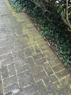 Brick Walkway power wash Restoration - Restored a brick walkway covered in dirt, moss, and buildup. We deep cleaned the surface to bring back its natural color, leaving it clean, safe, and greatly improving the home’s curb appeal. Brick Walkway power wash Restoration - Restored a brick walkway covered in dirt, moss, and buildup. We deep cleaned the surface to bring back its natural color, leaving it clean, safe, and greatly improving the home’s curb appeal.