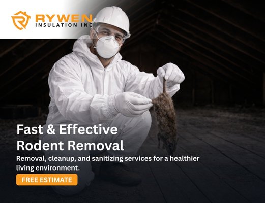 Dead Rodent removal - We offer professional dead animal removal services, specializing in all areas of the home, including walls, attics, and crawl spaces. Our trained team uses specialized techniques and equipment to effectively locate and remove dead animals. We focus on providing complete solutions that include cleaning and disinfection, ensuring your home is free of health risks and unpleasant odors. With a focus on accuracy and quick response, we offer a reliable service that restores the safety and comfort of your home. Dead Rodent removal - We offer professional dead animal removal services, specializing in all areas of the home, including walls, attics, and crawl spaces. Our trained team uses specialized techniques and equipment to effectively locate and remove dead animals. We focus on providing complete solutions that include cleaning and disinfection, ensuring your home is free of health risks and unpleasant odors. With a focus on accuracy and quick response, we offer a reliable service that restores the safety and comfort of your home.