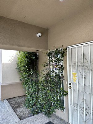 Numismatic store - Today we finished another project. Numismatic store.
The customer was installed 8 video cameras.
4 cameras inside and 4 outside.
The installed recorder will allow you to control video cameras from anywhere remotely.
The cost of this project was $1500.