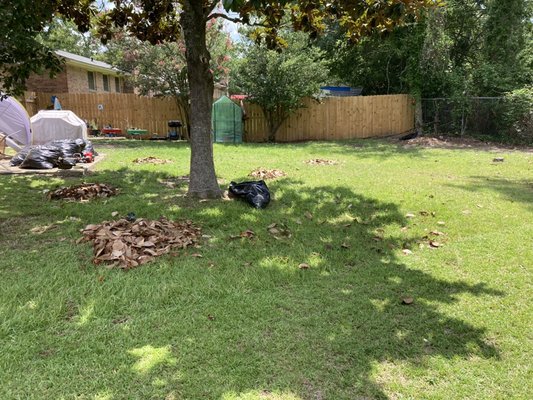 Tru Patriot Before and After Lawn Care Service - The above yard was mowed, trimmed and leaves removed. Tru Patriot has a zero turn lawn mower for fast and efficient yard service. Tru Patriot Before and After Lawn Care Service - The above yard was mowed, trimmed and leaves removed. Tru Patriot has a zero turn lawn mower for fast and efficient yard service.