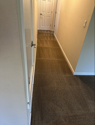 Pet Stain & Odor Removal - We use a pet friendly enzamatic formula that removes stains and odors. Our team will make a recomendation on what method, products and services should be provided. Give us a call now to book your cleaning!