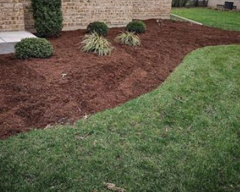 Commercial Lawn Maintenance - Get on our Commercial Full-Service weekly lawn and landscape maintenance and trust that your lawn is in good hands.
We are a full-time landscaping service treating commercial yards with care in the Schiller Park, Park Ridge, Niles, Skokie, Evanston and surrounding Chicagoland areas. Landscaping is a big business and the knowledge we bring to the table will help you enhance your business curb appeal as well as personal satisfaction with a job well done. Commercial Lawn Maintenance - Get on our Commercial Full-Service weekly lawn and landscape maintenance and trust that your lawn is in good hands.
We are a full-time landscaping service treating commercial yards with care in the Schiller Park, Park Ridge, Niles, Skokie, Evanston and surrounding Chicagoland areas. Landscaping is a big business and the knowledge we bring to the table will help you enhance your business curb appeal as well as personal satisfaction with a job well done.