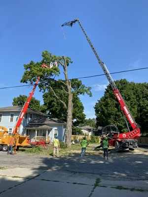 We do a lot of crane jobs. Here or just a few that we have done recently - We excel in difficult access jobs and the use of heavy equipment with low impact on the property. We do a lot of crane jobs. Here or just a few that we have done recently - We excel in difficult access jobs and the use of heavy equipment with low impact on the property.