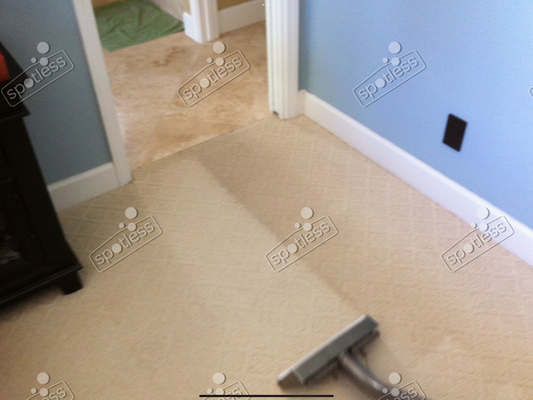 Exceptional Carpet cleaning - It’s easy to overlook, but the carpets in your home act as a filter, trapping allergens, pollen, and particulate matter. While in the past, this was seen as a negative, the truth is carpets keep these particles out of your respiratory system. Hard surfaces like tile or wood can’t hold these materials, which means every step you take stirs them back into the air, into your breathing zone.
To keep these “filters” working for you, regular maintenance is essential. Thorough regular vacuuming is the most important step, followed by periodic professional cleaning to ensure a truly healthy environment.
At Spotless, we’ve developed a cleaning process that delivers deep cleaning without harsh chemicals or leftover residue. Here’s how it works:
Pre-treat
We begin by pre-treating your carpet with our organic, neutral pH solution, which uses probiotics to break down soil naturally.
Agitation
Next, we agitate the carpet fibers to work the solution deep into the pile, lifting grit, dust, and hair from the carpet pile.
Pure Water Rinse
Finally, we use ultra-purified, extremely hot water to thoroughly flush out all remaining materials, leaving your carpet bright, silky soft, and fluffy.
Our Minimum Charge and Free Consultation
To ensure every client receives the quality of service that Spotless is known for, we have a minimum charge of $250 per service visit. This guarantees that each job receives the time, care, and attention it deserves, regardless of the size of the area being cleaned.
We also offer free, on-site, no-obligation consultations, so you can experience our expertise before making any decisions.
With Spotless, you’ll fall in love with your floors all over again. Exceptional Carpet cleaning - It’s easy to overlook, but the carpets in your home act as a filter, trapping allergens, pollen, and particulate matter. While in the past, this was seen as a negative, the truth is carpets keep these particles out of your respiratory system. Hard surfaces like tile or wood can’t hold these materials, which means every step you take stirs them back into the air, into your breathing zone.
To keep these “filters” working for you, regular maintenance is essential. Thorough regular vacuuming is the most important step, followed by periodic professional cleaning to ensure a truly healthy environment.
At Spotless, we’ve developed a cleaning process that delivers deep cleaning without harsh chemicals or leftover residue. Here’s how it works:
Pre-treat
We begin by pre-treating your carpet with our organic, neutral pH solution, which uses probiotics to break down soil naturally.
Agitation
Next, we agitate the carpet fibers to work the solution deep into the pile, lifting grit, dust, and hair from the carpet pile.
Pure Water Rinse
Finally, we use ultra-purified, extremely hot water to thoroughly flush out all remaining materials, leaving your carpet bright, silky soft, and fluffy.
Our Minimum Charge and Free Consultation
To ensure every client receives the quality of service that Spotless is known for, we have a minimum charge of $250 per service visit. This guarantees that each job receives the time, care, and attention it deserves, regardless of the size of the area being cleaned.
We also offer free, on-site, no-obligation consultations, so you can experience our expertise before making any decisions.
With Spotless, you’ll fall in love with your floors all over again.
