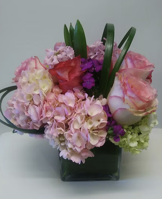 Lush Arrangements - Shop for our Lush Arrangements today!