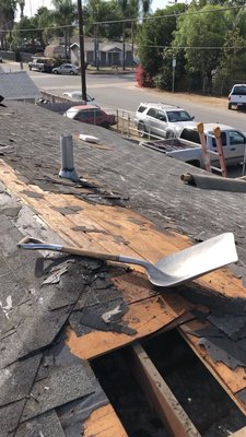 Asphalt Shingle Re-Roof - This was a 15 year old Roof that was in desperate need of a new Roofing System. The Shingles were worn out to their glass base and weren’t serving their intended purpose of keeping water from getting into the house. As a result we came to the customer at a time of stress and handled all her roofing needs with Precision. We tore the old and installed a new Roofing System that will render an average of 15-20 years of service. We used nothing but quality products such as Malarkey Highlander Nex Architectural Shingles (an upgrade from her outdated 3 tab shingles) and Malarkey 40lb. Asphalt saturated felt. During the demolition of the old Roofing System we found that sections of the Deck and Fascia were damaged due to termites and dry rot, upon realizing this we immediately got in contact with the client and addressed the wood damage as necessary and in a Precise manner. We also added exhaust Ventilators throughout the Roof of the home in order to minimize moisture from getting trapped within her attic and ultimately into her home. This also maximizes the energy efficiency of the residence adding comfort and saving money on electricity bills. Moral of the story. No more leaks, headaches, or repair costs; Most importantly another happy client Roofed with Precision.